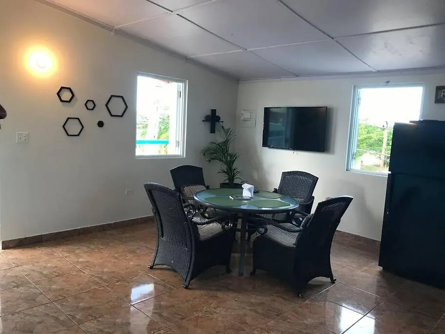 Vokadillo Beach House Apartman Arecibo